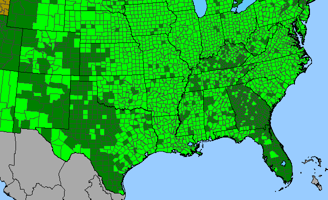 The range of Solidago altissima